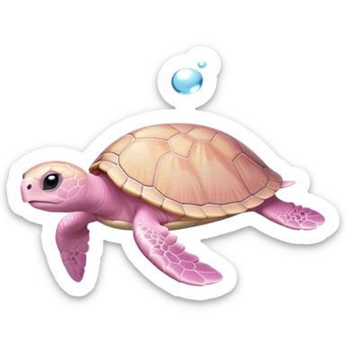 cute light pink baby turtle swimming with tiny flippers sticker