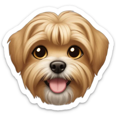 underbite beige shorkie dog halfbody shot sticker