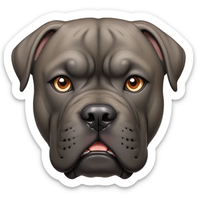 Cane Corso dog face sticker