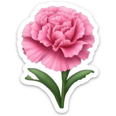 pink carnation flowers sticker