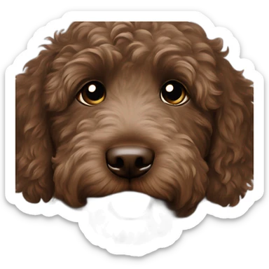 Dark brown Australian labradoodle puppy sticker