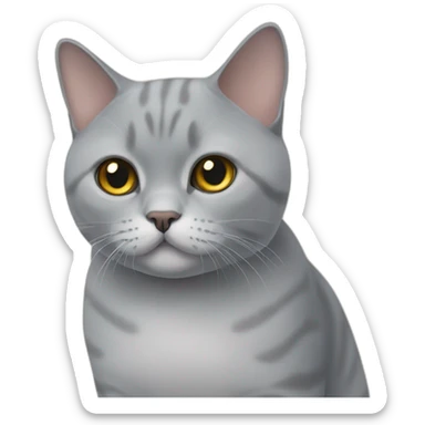 British shorthair cat sticker