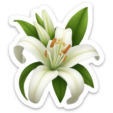 white lilies sticker