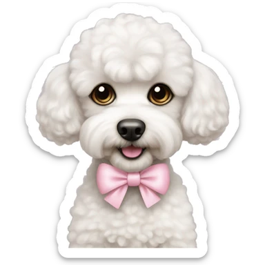 Bichon friese poodle mix with light pink bow  sticker