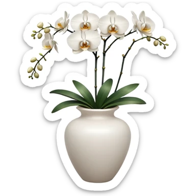 white orchids in white Italy vase  sticker