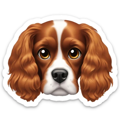 Cavalier King Charles Spaniel black dog with ginger eyebrows sticker