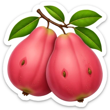 egzotic guava flavor  sticker