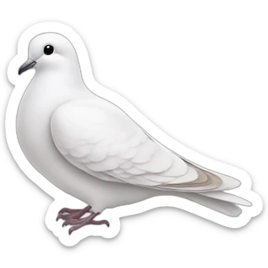 Dove sticker