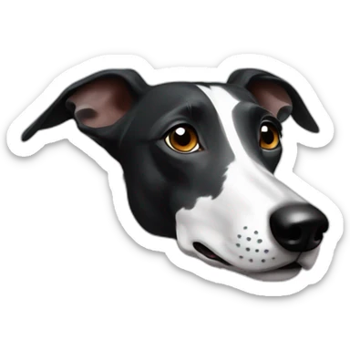Galgo negro raya blanca sticker