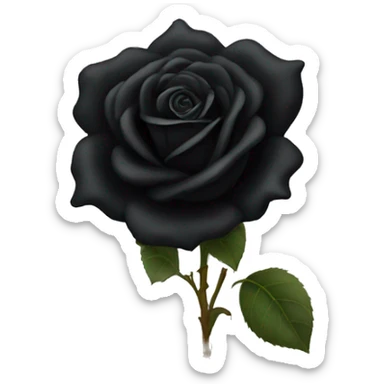 black rose sticker