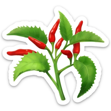Kutu Chilli plant sticker