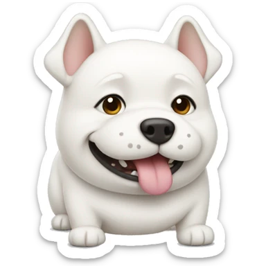 chubby white dog with a belly sticker