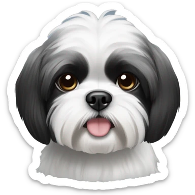Black and white shihtzu sticker