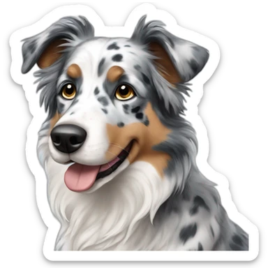 dog australian sherpered blue merle sticker