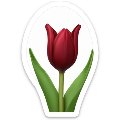 Dark red tulip sticker