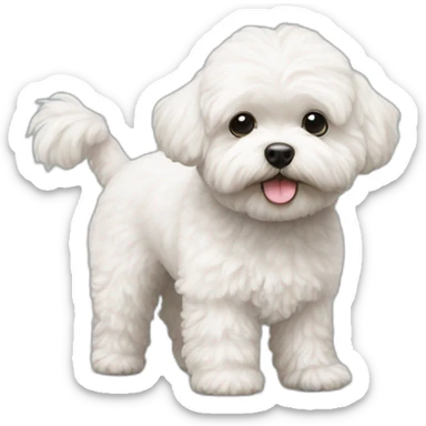 a white maltipoo standing in two feet sticker