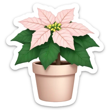 Pale blush pink poinsettia plant  sticker