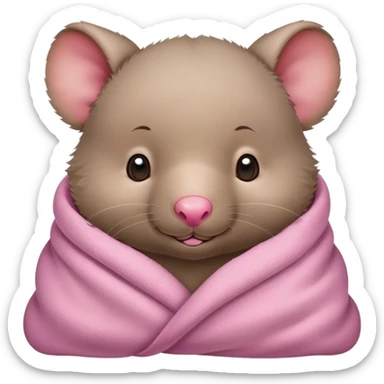 Cute baby wombat cozy in blanket sticker