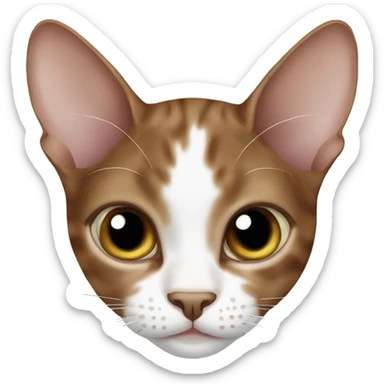 Brown cat devon-rex with white spots sticker