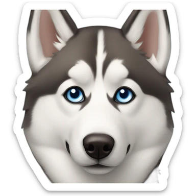 Siberian husky with one blue eye and one brown eye sticker