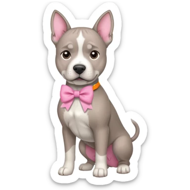 Grey amstaff with a pink bow sticker