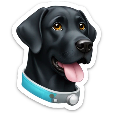 Black labrador with a science coat sticker