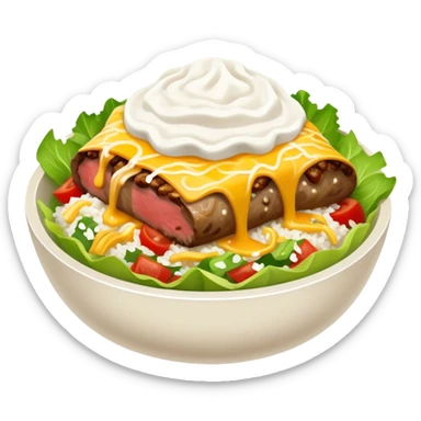 Chipotle, steak burrito, bowl with lettuce, cheese, sour cream, and white rice ￼ sticker