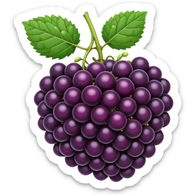 blackberry sticker