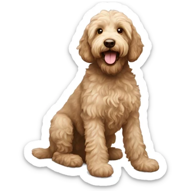 Labradoodle  sticker