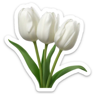 white tulips sticker