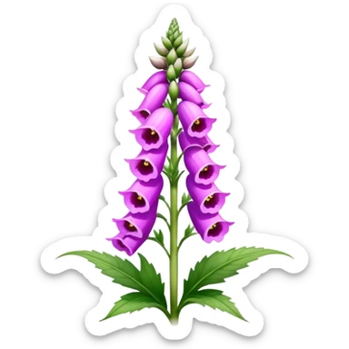 foxglove sticker