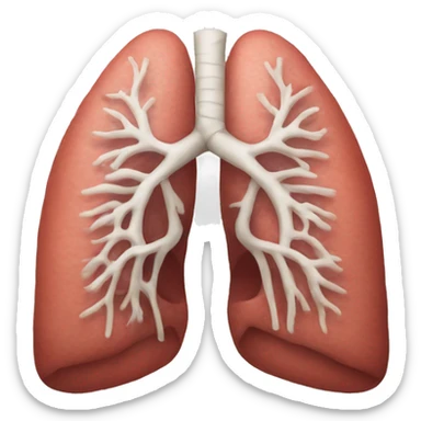 Realistic pair and of lungs  sticker