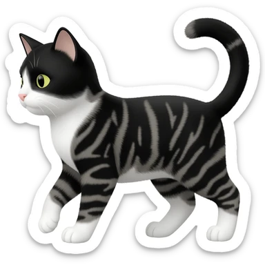 black and white tabby cat with tipped ear sticker