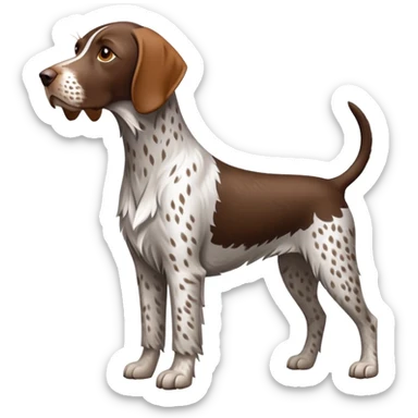 Wirehair pointer sticker