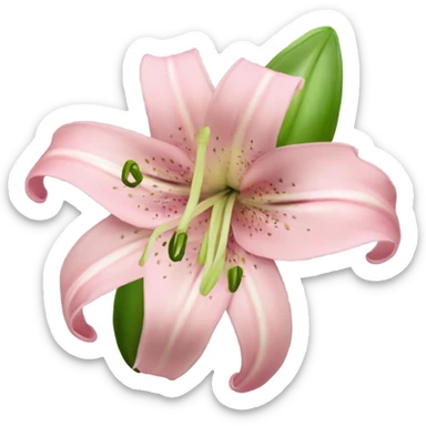 light pink lilium sticker