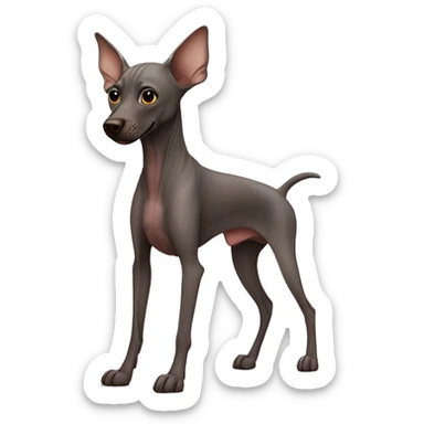 Hairless dog with dark brown skin xoloitzcuintle sticker