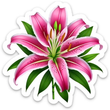 bouquet Deep Pink Oriental Lily with White Edge, luxuriant, leaf, bud sticker