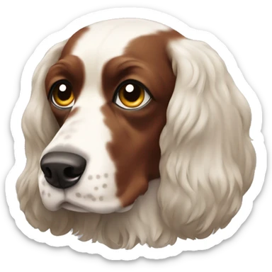Spaniel Broton sticker