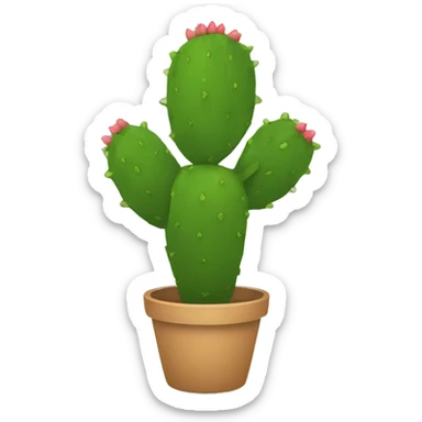 single flat Nopal without pot sticker