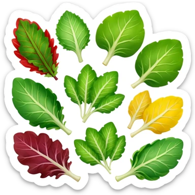 different salad leaves different colors  sticker