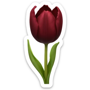 Dark red tulip sticker