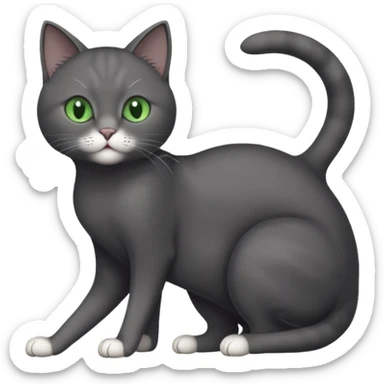 full body gorgeous solid dark grey cat with green eyes, white paws and white whiskers stretching like a cat sticker