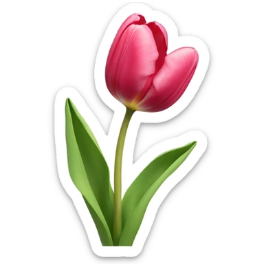 A beautiful tulip sticker