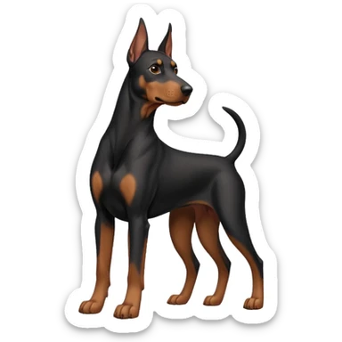 black and tan doberman with floppy ears sticker