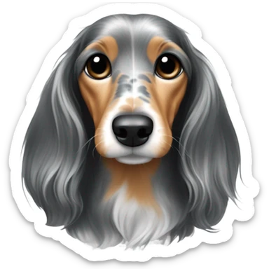 Long-haired marble dachshund sticker
