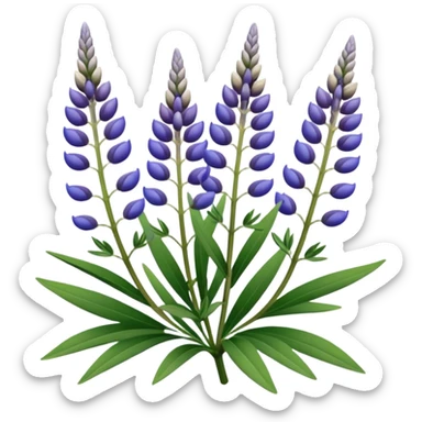 Realistic Still life ultra detailed, Lupine Lupinus sticker
