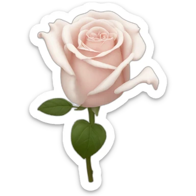 Pied verni rose sticker