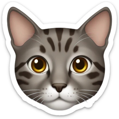 brindle grey brown cat sticker