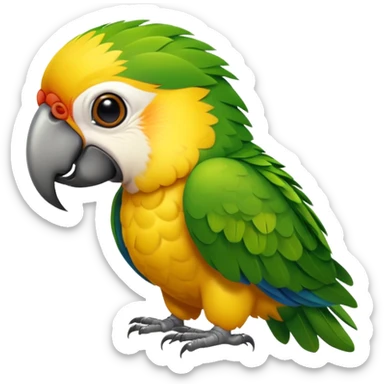 Perroquet qui est de face  sticker