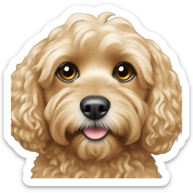 Blonde cavapoo sticker